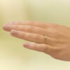 celest-rg-050 Celest
